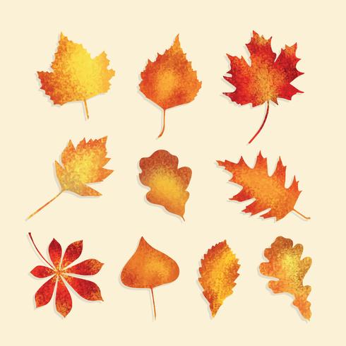 Free Textured Autumn Leaves Vector