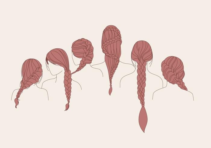 Plait Hair Brown Vector