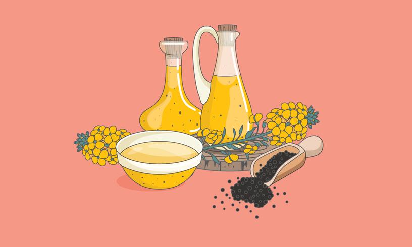 Canola Vector