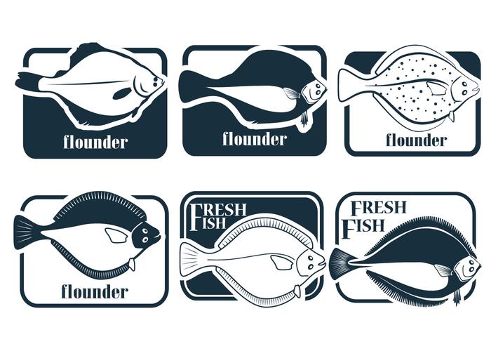 Fresh Fish Flounder Vectors 