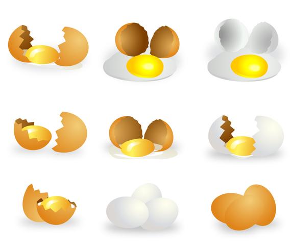 Broken egg vector set