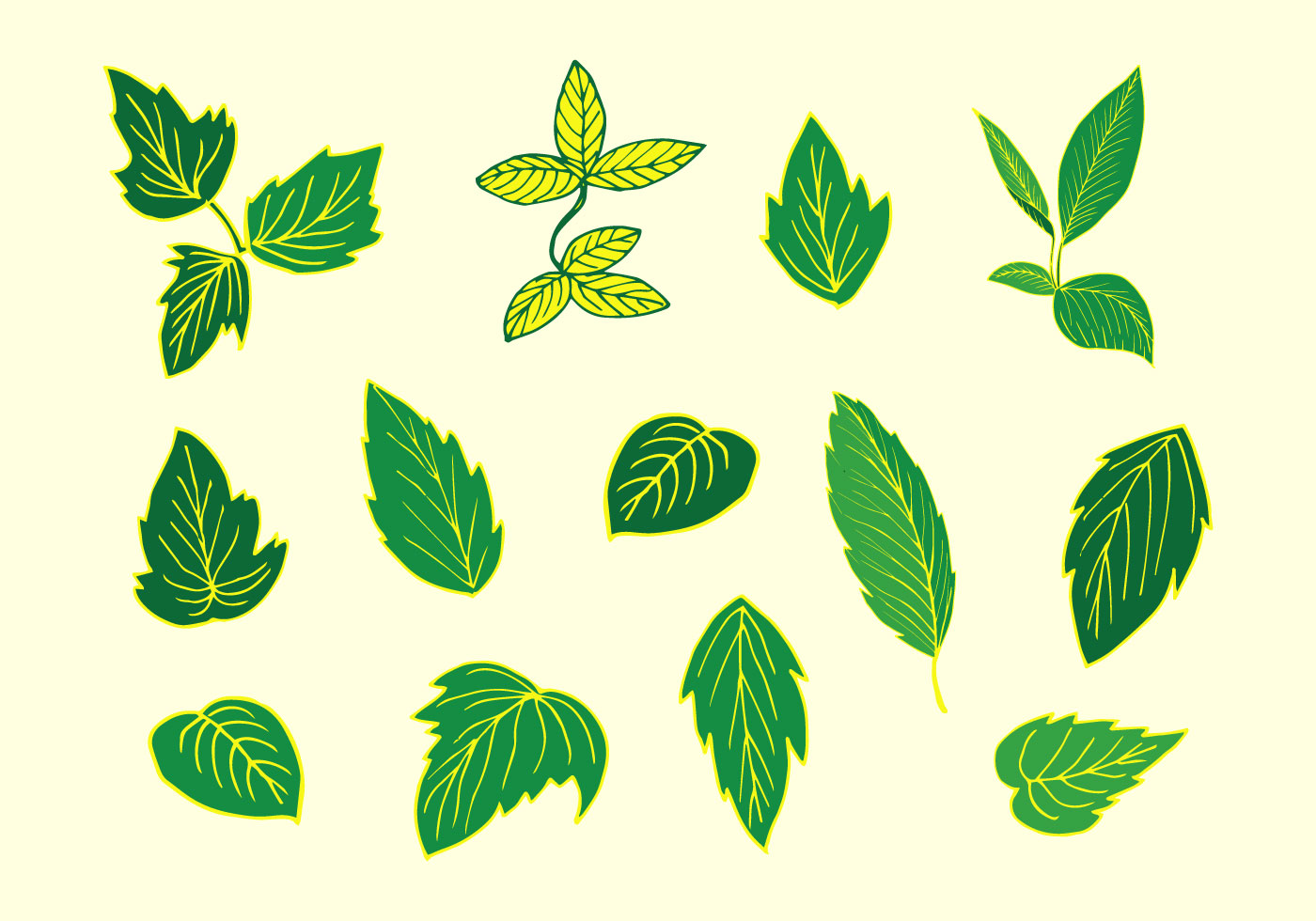 Poison Ivy Vector 172287 Vector Art at Vecteezy