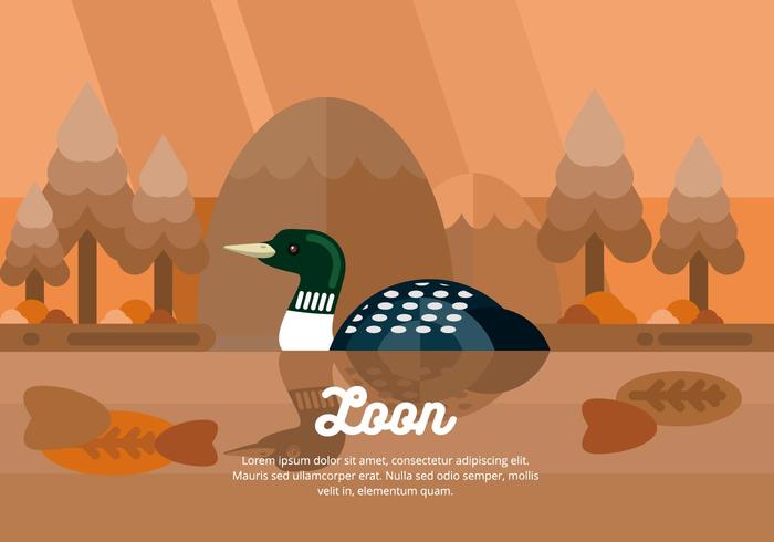 Ilustración Loon vector