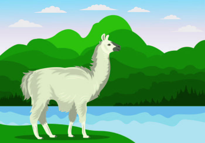 Vector Illustration Of Llama 