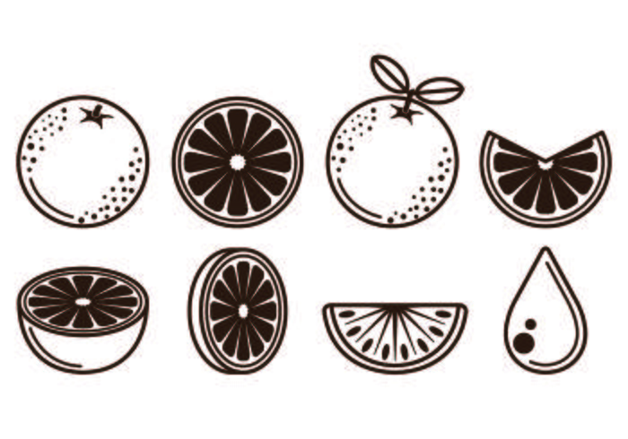 Conjunto de iconos de fruta Clementine vector