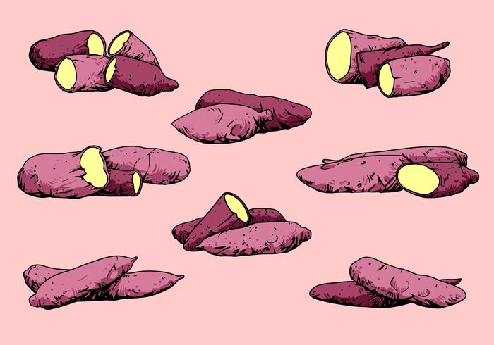 Purple Cassava Yam Free Vector