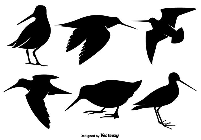 Vector Snipe Bird Silhouettes