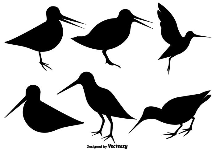 Vector iconos planos de aves snipe