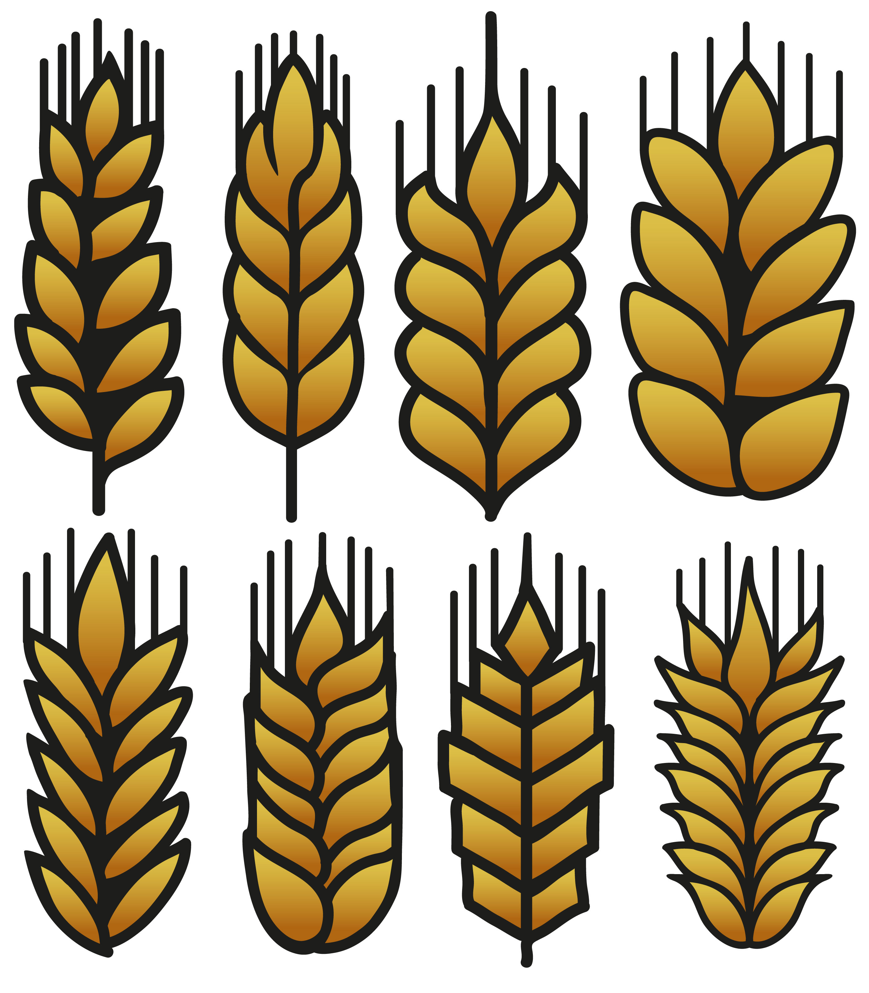 Download Wheat Grain Free Vector Art - (1524 Free Downloads)