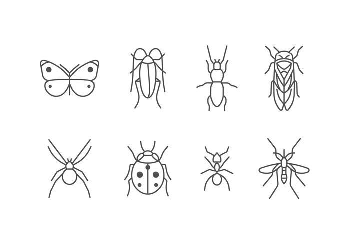 Insect icon set vector