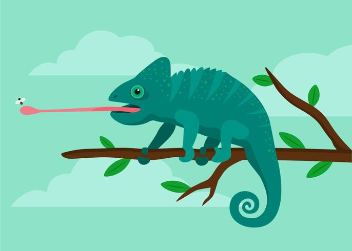 Chameleon Illustration vector