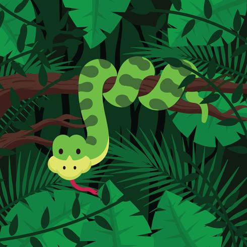 Anaconda On Forest Background vector