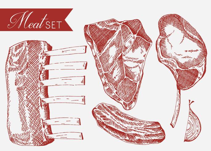 Veal Set Hand Drawn Vector