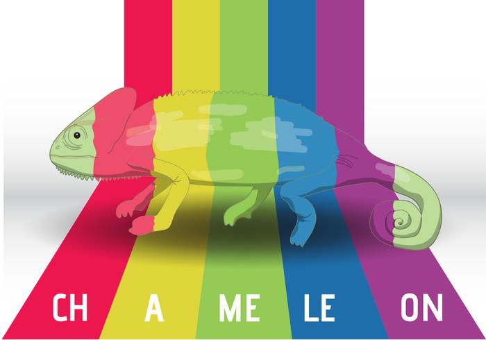 Chameleon In Colors  vector