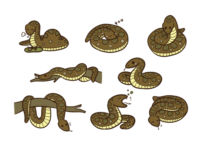 vector de dibujos animados de anaconda