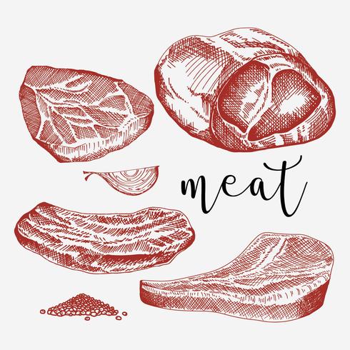 Veal Set Hand Drawn Vector