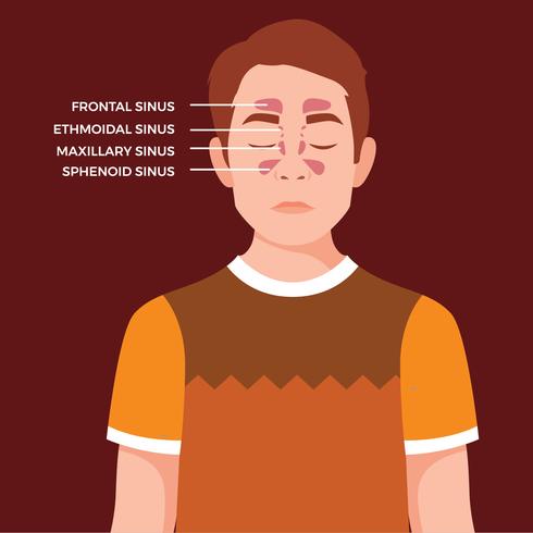 Free vector sinusitis male character