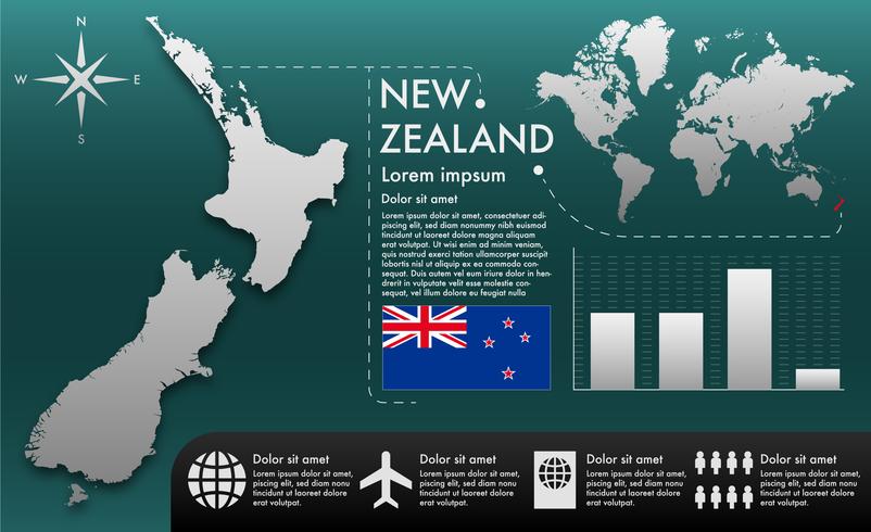 Vector zelanda infografía