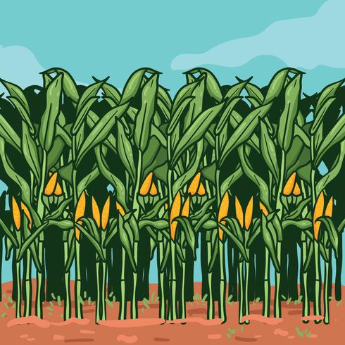 Ilustración de Corn Stalks on Farm vector