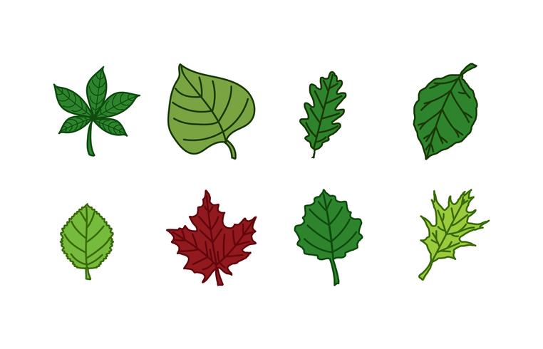 Leaves Icon Pack vector