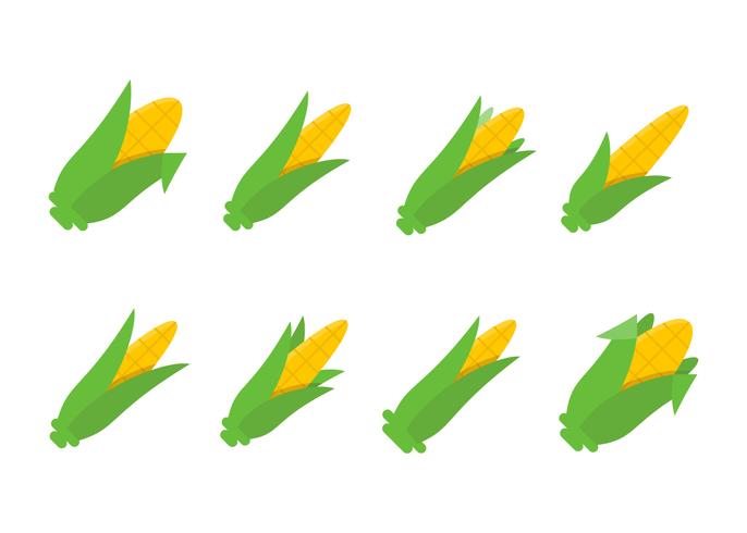 Free Outstanding Corn Stalks Vectors