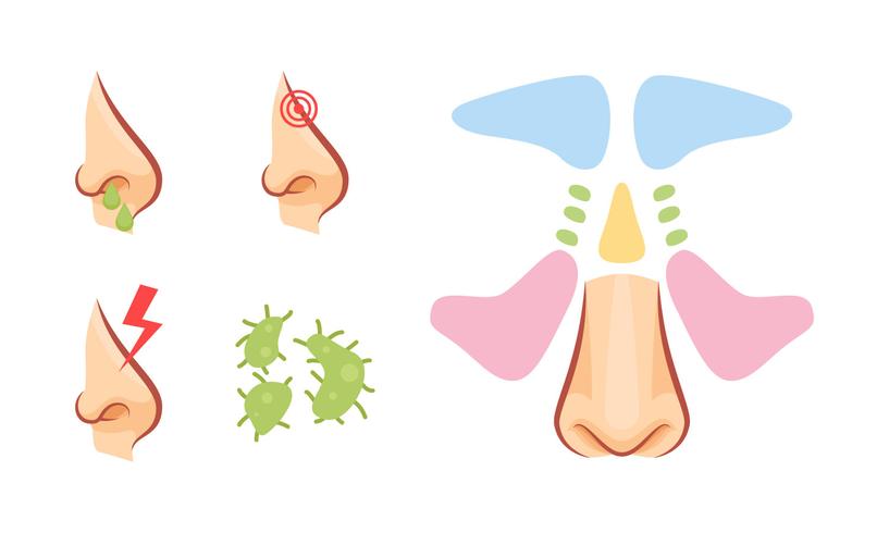 Free Outstanding Sinus Vectors