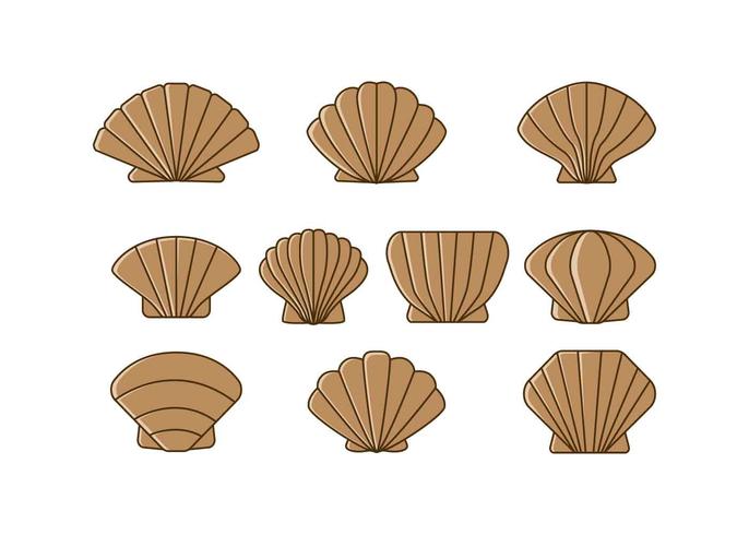 Free Scallops Icon Vector