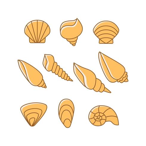 Shell Icon Vector