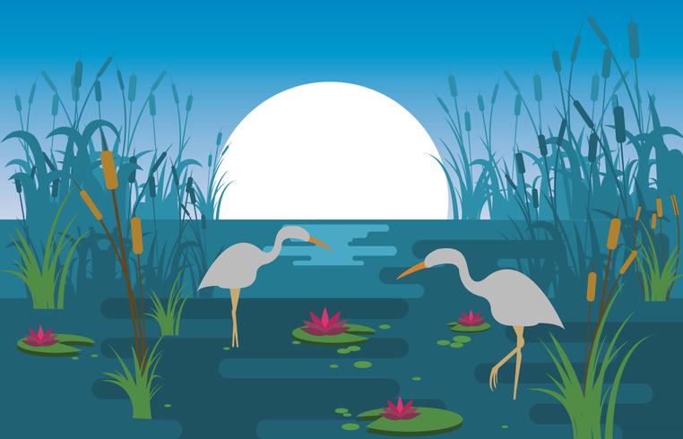 Marsh Scene Illustration vector