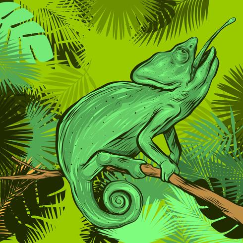 Chameleon On A Branch Of Tropical Leaves Frame vector