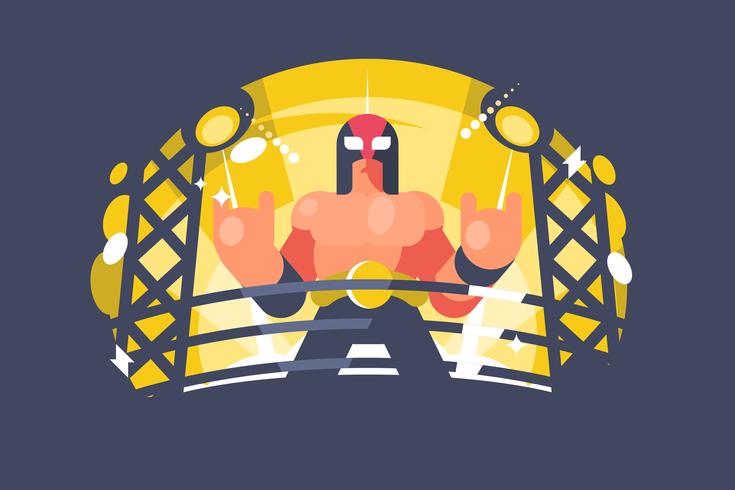 Ilustración mexicana del luchador vector