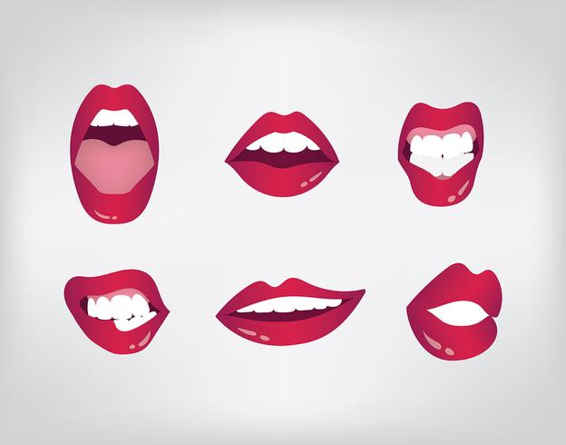 Boca Vector Set