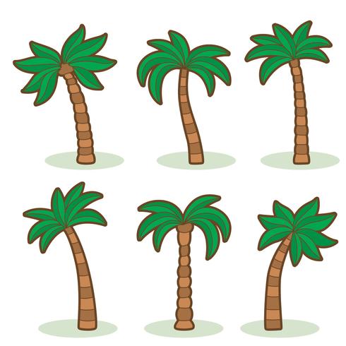 Palm Tree On White Vector