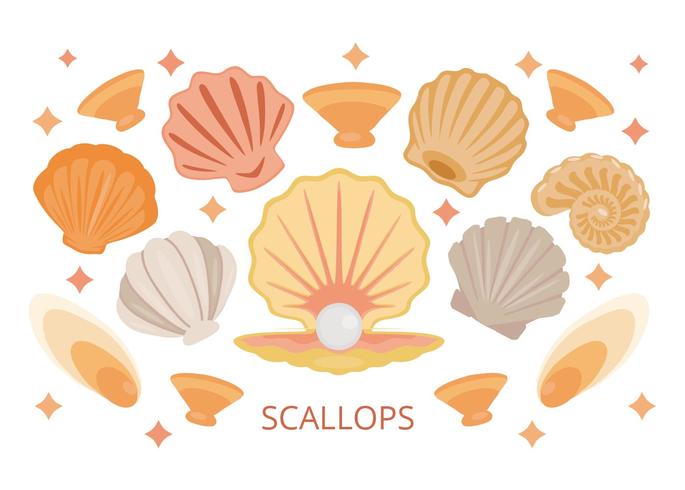 Free Scallops Sea Shell Vector