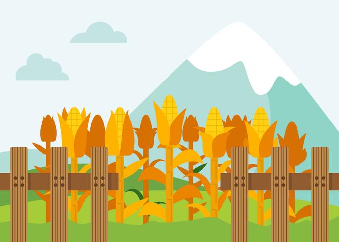 Free Outstanding Corn Stalks Vectors