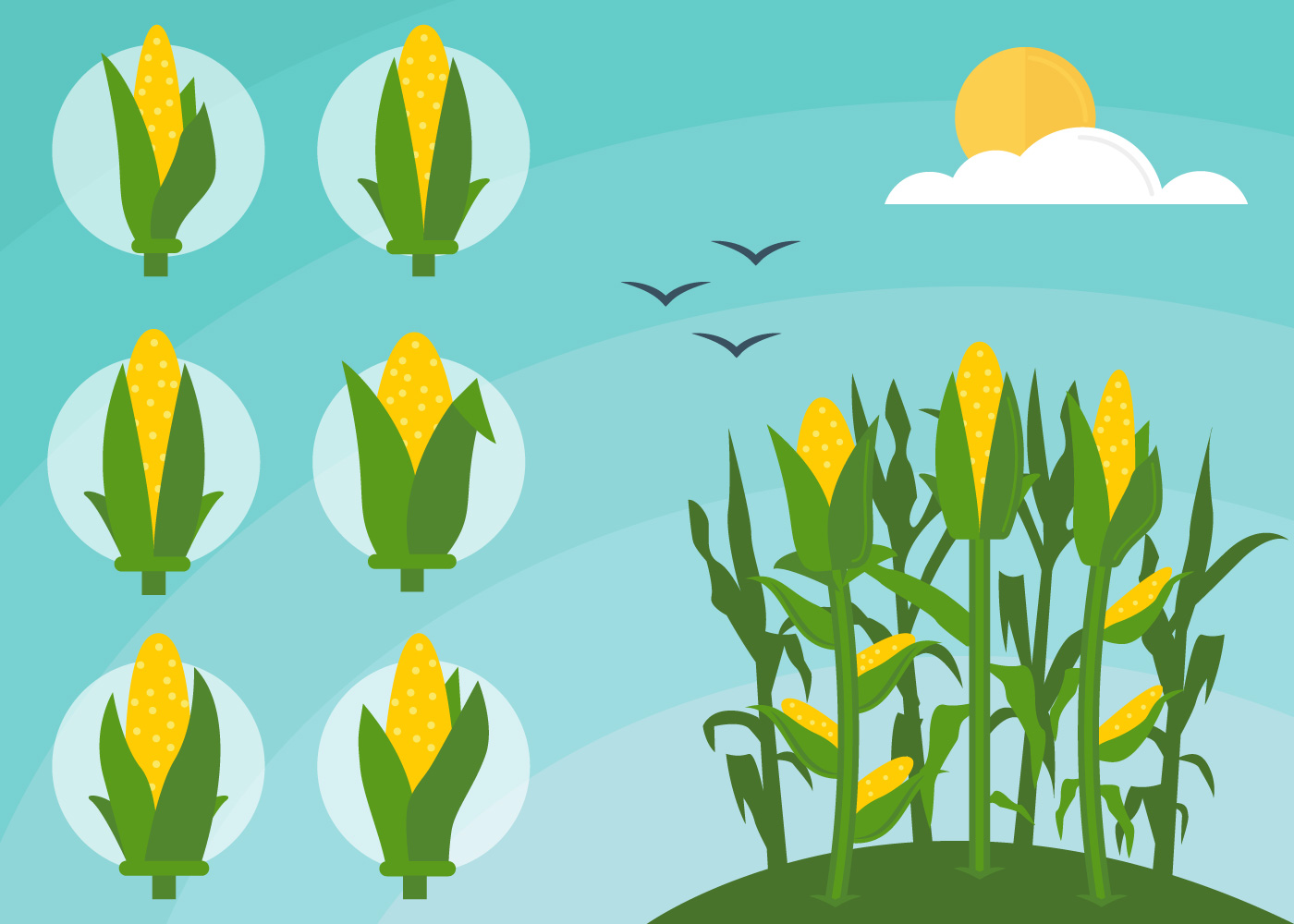 Download Free Outstanding Corn Stalks Vectors for free.