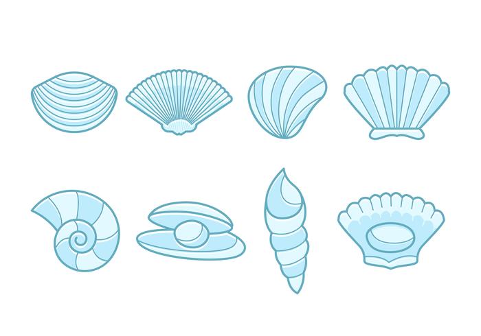 Free Sea Scallops Vector Collection