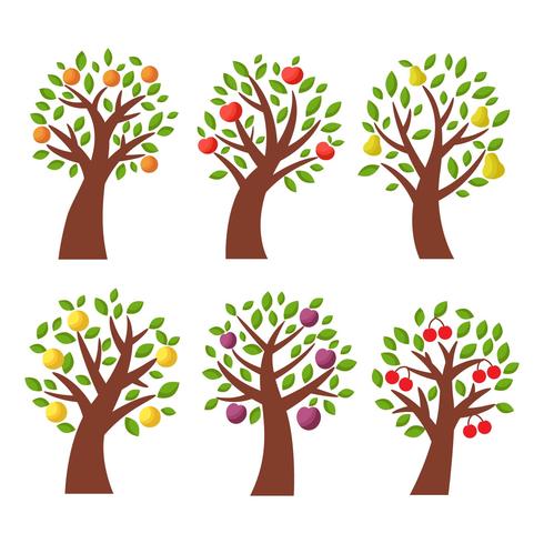 Frutas gratis (manzana, melocotón, pera) árbol vectorial vector