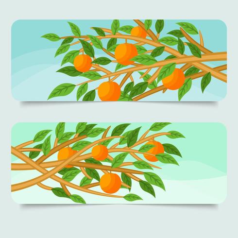 Peach Tree Banner Vector