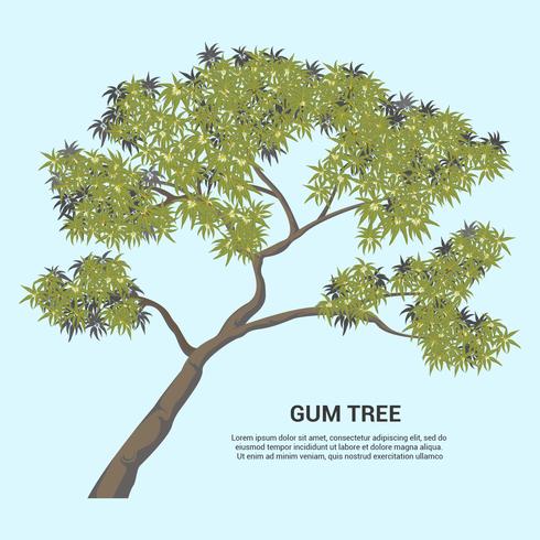 Gum Tree Vector Illustration