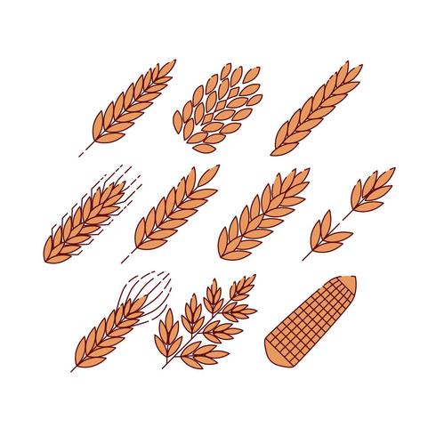 Free Cereal Plants Icon Vector