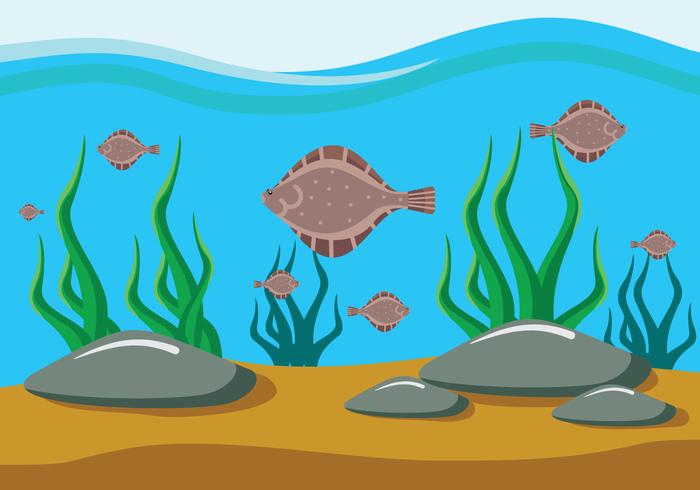 Flat Flounder Fish Illustration vector