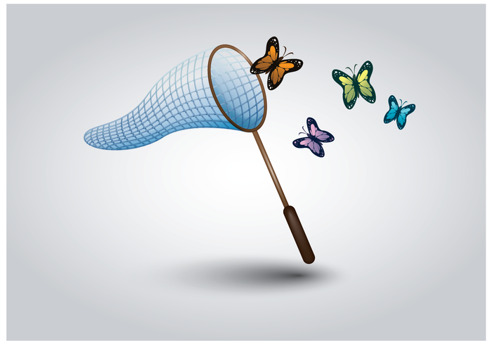 Free Butterfly Net Vector