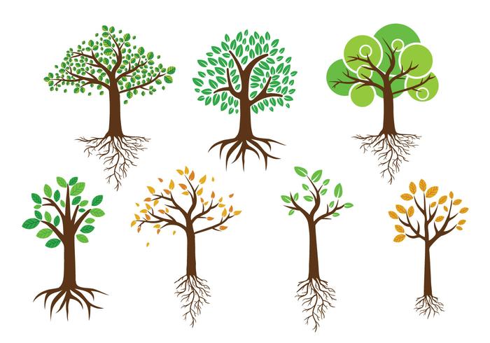 Green Tree With Roots Vectors