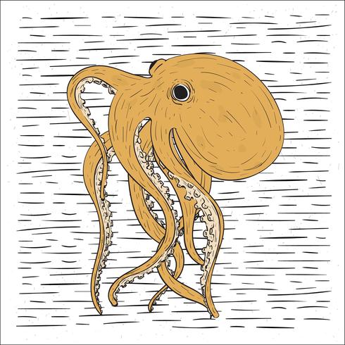 Hand Drawn Vector Octopus Illustration