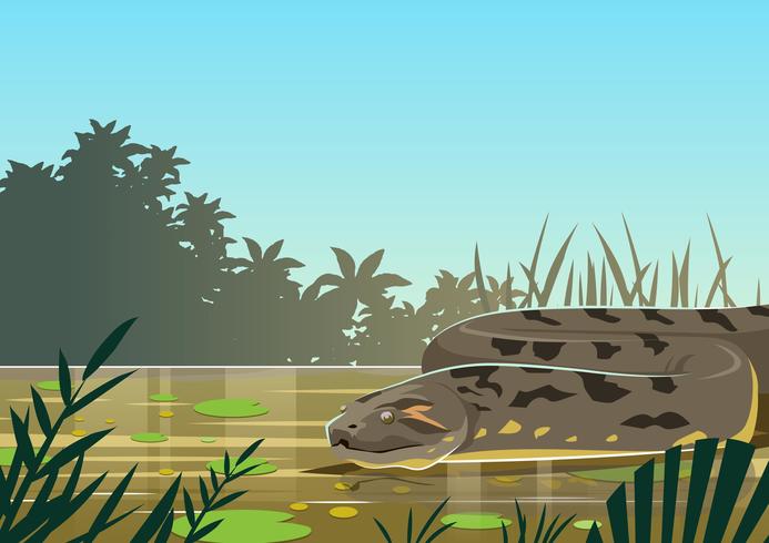 Anaconda vector