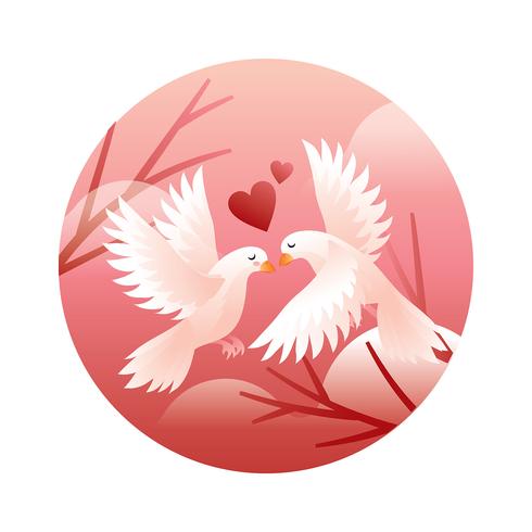 Dove Couple In Love Vector