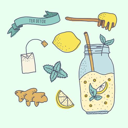 Detox Tea Recipe vector
