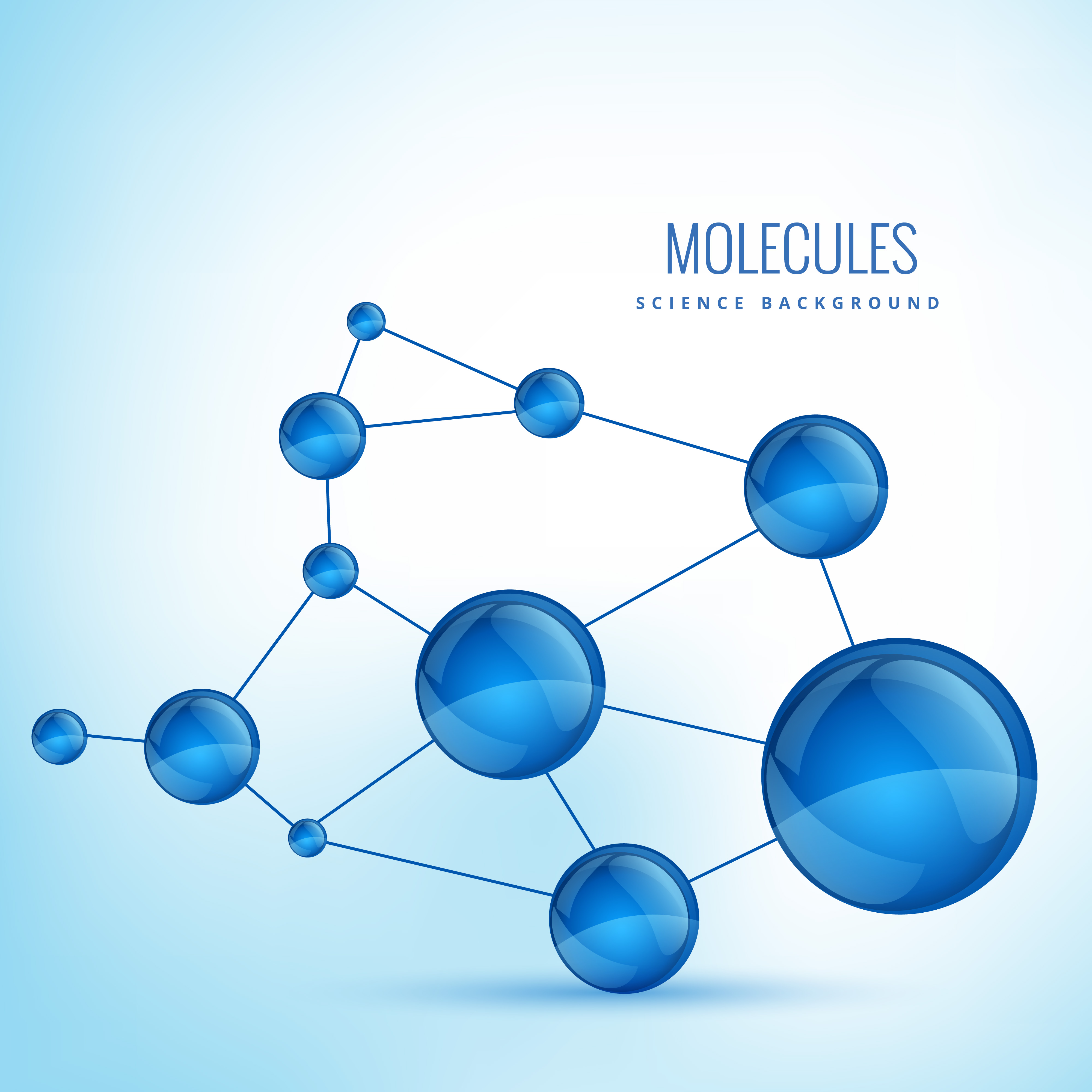 view hopf algebras