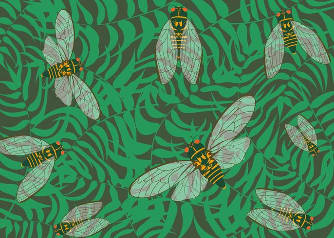 Cicada Insect Background vector